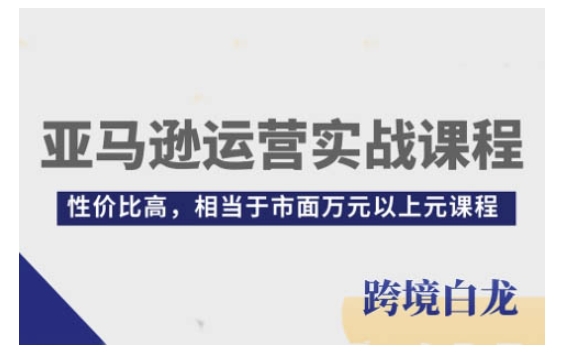 亚马逊运营实战课程，亚马逊从入门到精通，性价比高，相当于市面万元以上元课程-梦凌网创