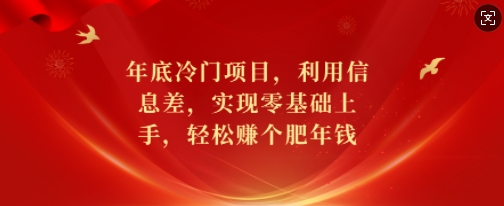 年底冷门项目，利用信息差，实现零基础上手，轻松赚个肥年钱【揭秘】-梦凌网创
