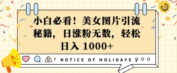 小白必看，美女图片引流秘籍，日涨粉无数，轻松日入几张【揭秘】-梦凌网创