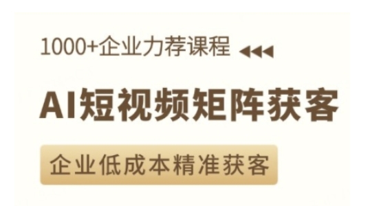 AI短视频矩阵获客实操课，企业低成本精准获客-梦凌网创