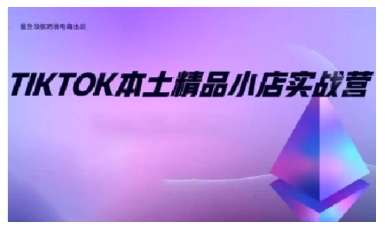 TikTok本土精品小店出海实战营，从入门到高阶，不止0-1!-梦凌网创