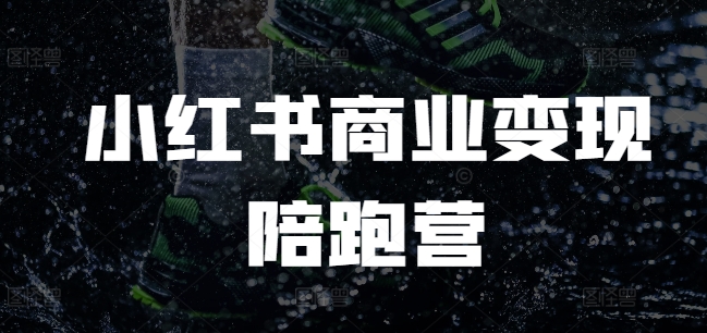 小红书商业变现陪跑营，小红书电商教程-梦凌网创