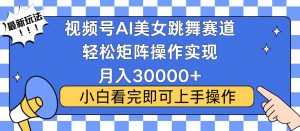 视频号蓝海赛道玩法，当天起号，拉爆流量收益，小白也能轻松月入30000+-薪火元第一资源库