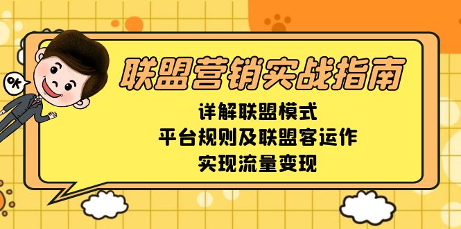 联盟营销实战指南，详解联盟模式、平台规则及联盟客运作，实现流量变现-梦凌网创