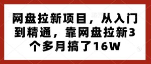 网盘拉新项目，从入门到精通，靠网盘拉新3个多月搞了16W-薪火元第一资源库