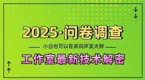 2025问卷调查最新工作室技术解密：一个人在家也可以闷声发大财，小白一天2张，可矩阵放大【揭秘】-薪火元第一资源库