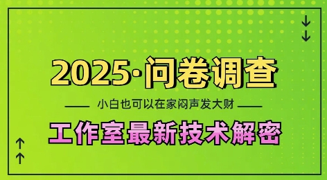 2025问卷调查最新工作室技术解密：一个人在家也可以闷声发大财，小白一天2张，可矩阵放大【揭秘】-薪火元第一资源库