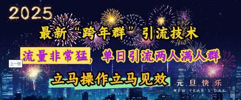 最新“跨年群”引流，流量非常猛，单日引流两人满人群，立马操作立马见效【揭秘】-梦凌网创