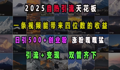 2025自热引流天花板，一条视频能带来四位数的收益，引流+变现双管齐下，日引500+创业粉，涨粉嘎嘎猛-梦凌网创
