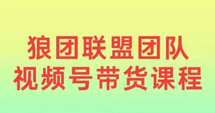 狼团联盟2024视频号带货，0基础小白快速入局视频号-梦凌网创
