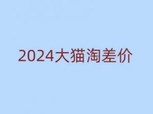 2024版大猫淘差价课程，新手也能学的无货源电商课程-薪火元第一资源库