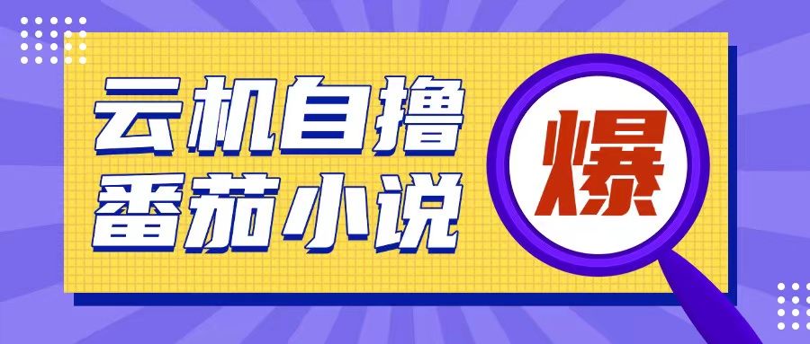 首发云手机自撸小说玩法，10块钱成本可撸200+收益操作简单【揭秘】-梦凌网创
