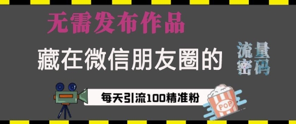 藏在微信朋友圈的流量密码，无需发布作品，单日引流100+精准创业粉【揭秘】-梦凌网创