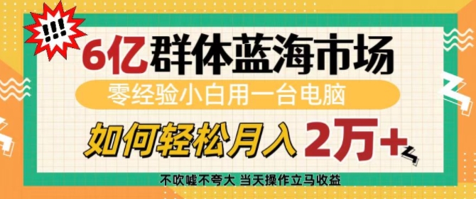 6亿群体蓝海市场，零经验小白用一台电脑，如何轻松月入过w【揭秘】-梦凌网创