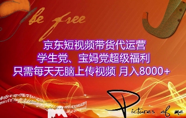 京东短视频带货代运营，学生党、宝妈党超级福利，只需每天无脑上传视频，月入8000+【仅揭秘】-梦凌网创