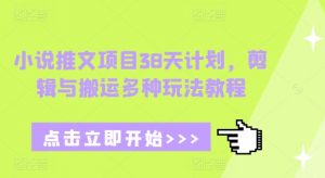 小说推文项目38天计划，剪辑与搬运多种玩法教程-薪火元第一资源库