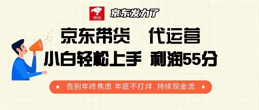 京东带货 代运营 利润55分 告别年终焦虑 年底不打烊 持续现金流-梦凌网创