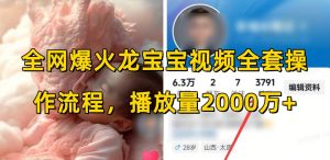 全网爆火龙宝宝视频全套操作流程,播放量2000万+-薪火元第一资源库