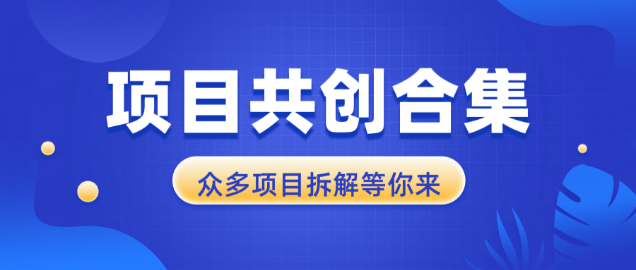 项目共创合集，从0-1全过程拆解，让你迅速找到适合自已的项目-梦凌网创