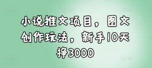 小说推文项目，图文创作玩法，新手10天挣3000-薪火元第一资源库