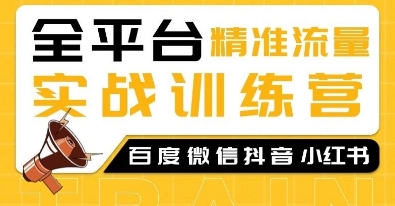 全平台精准流量实战训练营，百度微信抖音小红书SEO引流教程-梦凌网创