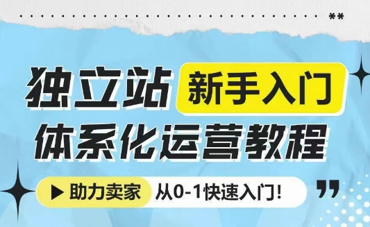 独立站新手入门体系化运营教程，助力独立站卖家从0-1快速入门!-梦凌网创