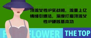 顶流女性IP实战班,流量上亿情绪引爆法,深度打磨顶流女性IP硬核基本功-薪火元第一资源库