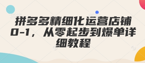 拼多多精细化运营店铺0-1，从零起步到爆单详细教程-梦凌网创