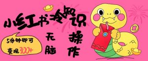 小红书冷知识账号，无脑复制粘贴，5分钟即可变现3张-薪火元第一资源库