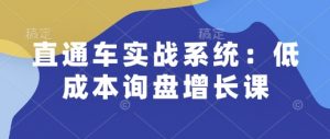 直通车实战系统:低成本询盘增长课,让个人通过技能实现升职加薪,让企业低成本获客,订单源源不断-薪火元第一资源库