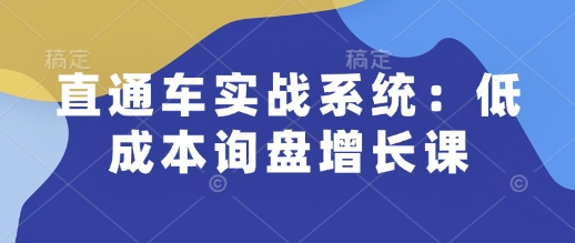 直通车实战系统：低成本询盘增长课，让个人通过技能实现升职加薪，让企业低成本获客，订单源源不断-梦凌网创