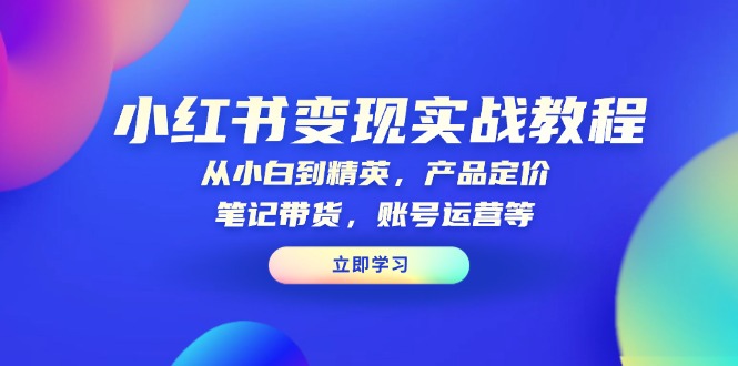 小红书变现实战教程：从小白到精英，产品定价，笔记带货，账号运营等-梦凌网创