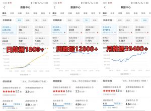 拼多多虚拟店铺项目，电脑挂机自动发货，单店日利润300+-薪火元第一资源库