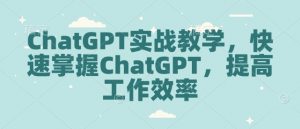 ChatGPT实战教学，快速掌握ChatGPT，提高工作效率-薪火元第一资源库