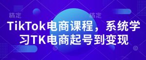 TikTok电商课程,系统学习TK电商起号到变现-薪火元第一资源库