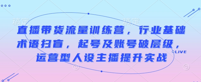 直播带货流量训练营，行业基础术语扫盲，起号及账号破层级，运营型人设主播提升实战-梦凌网创