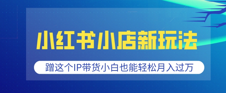 小红书小店新玩法，蹭这个IP带货，小白也能轻松月入过W【揭秘】-梦凌网创