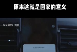 利用春节风口，制作热点视频，多种玩法类型，新手也能轻松变现！-薪火元第一资源库