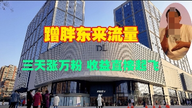 蹭胖东来流量，三天涨万粉，收益直接起飞-梦凌网创