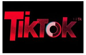TikTok ads投流秘籍,涵盖tiktok整体投放思路,教你搭建测试计划-薪火元第一资源库