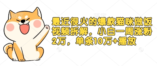最近很火的爆款猫咪做饭视频拆解，小白一周涨粉2万，单条10万+播放(附保姆级教程)-梦凌网创