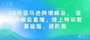 12月亚马逊跨境峰会， 亚马逊峰会直播，线上特训营基础版，进阶版-薪火元第一资源库