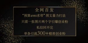 小红书神奇图片引流法,只需一张图,就能单条笔记凭借此方法,轻松引流 300 + 精准创业粉-薪火元第一资源库