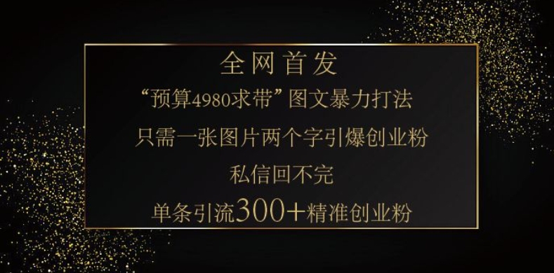 小红书神奇图片引流法，只需一张图，就能单条笔记凭借此方法，轻松引流 300 + 精准创业粉-梦凌网创