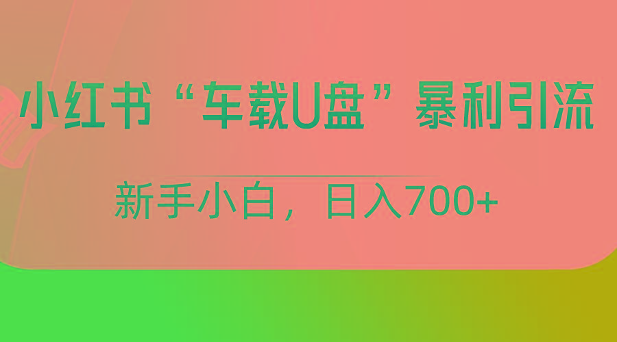 小红书“车载U盘”项目，暴利引流，新手小白轻松日入700+-梦凌网创