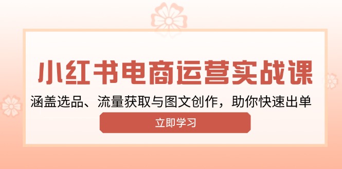 小红书变现运营实战课，涵盖选品、流量获取与图文创作，助你快速出单-梦凌网创