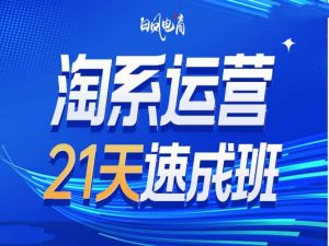 淘系运营21天速成班35期，年前最后一波和2025方向-薪火元第一资源库