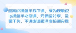 全案IP操盘手线下课，成为现象级ip操盘手必修课，无保留分享，全是干货，不讲废话超深度培训实操-薪火元第一资源库