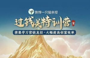 剽悍一只猫-过钱关特训营,学习营销真经 大幅度提高创富效率-薪火元第一资源库