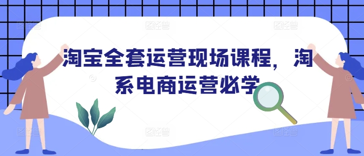 淘宝全套运营现场课程，淘系电商运营必学-梦凌网创